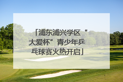 浦东浦兴学区“大爱杯”青少年乒乓球赛火热开启